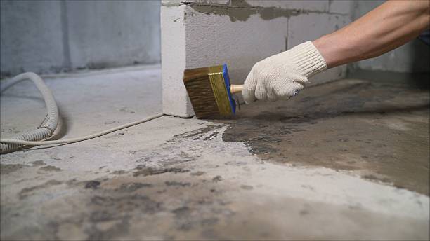 SJ Waterproofing Pros Interior Drainage System coverage map for Bailey, MI and surrounding area